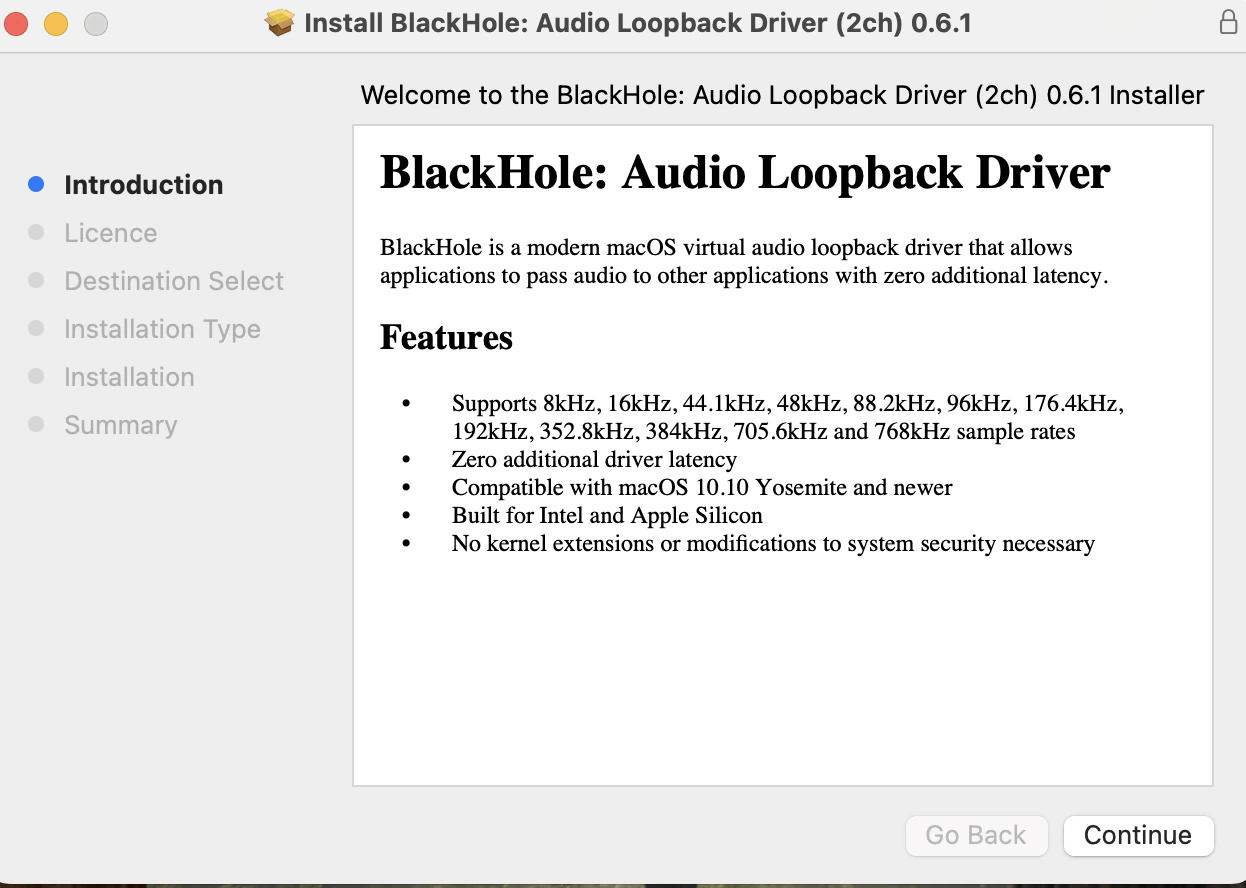 Install BlackHole driver